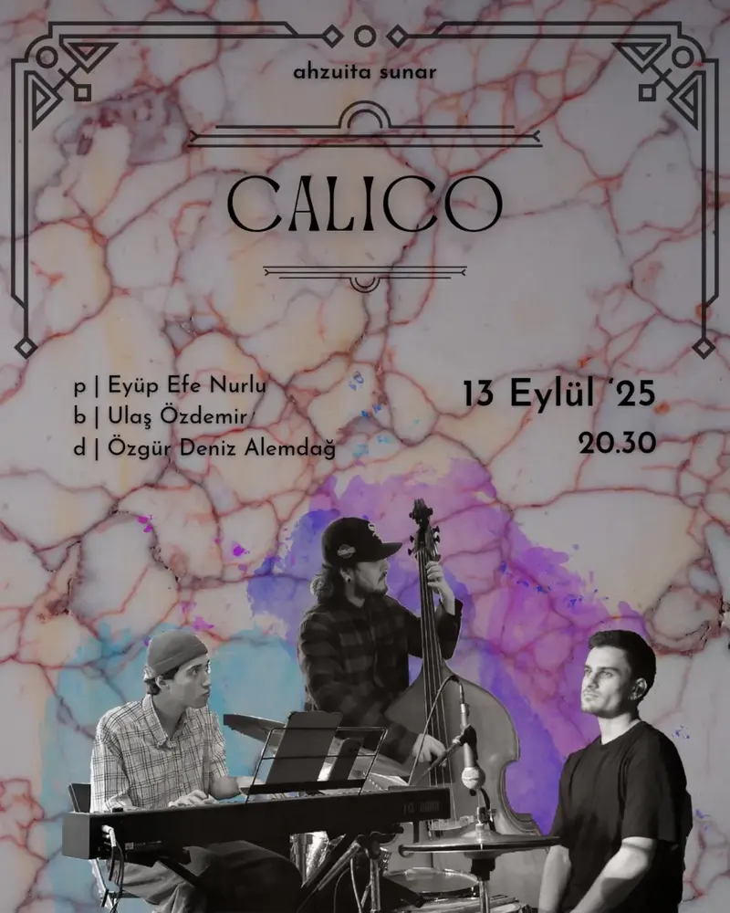Konser posteri