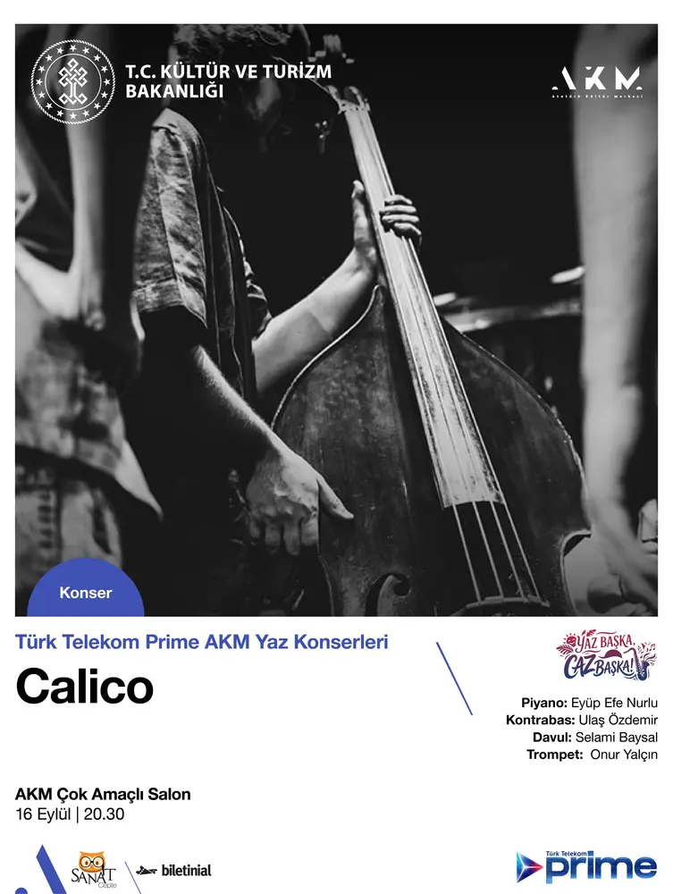 Konser posteri