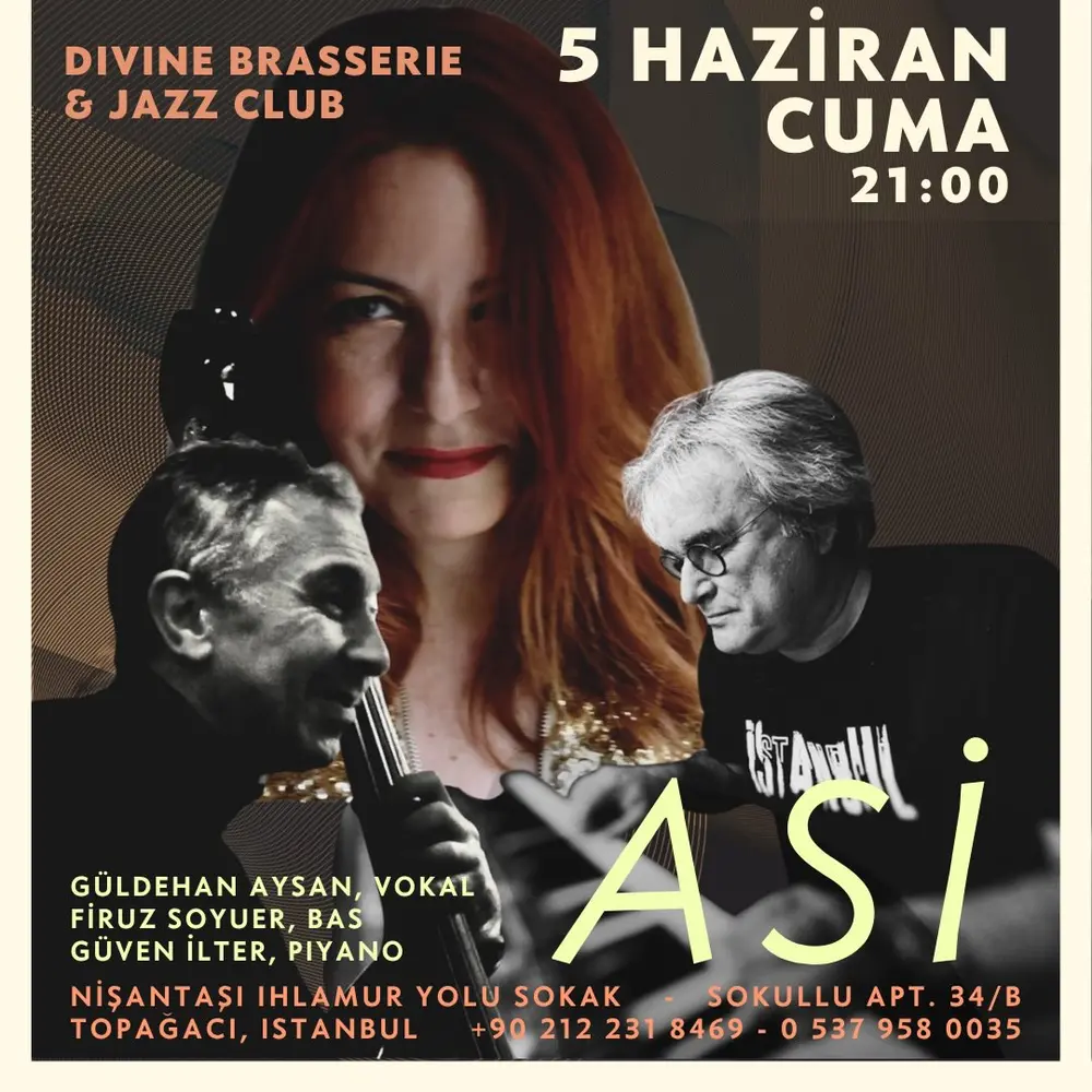 Konser posteri