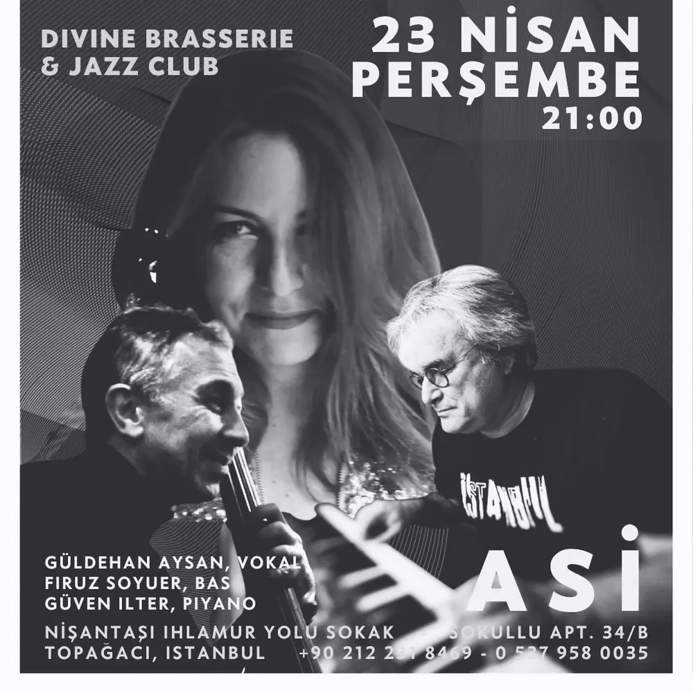Konser posteri