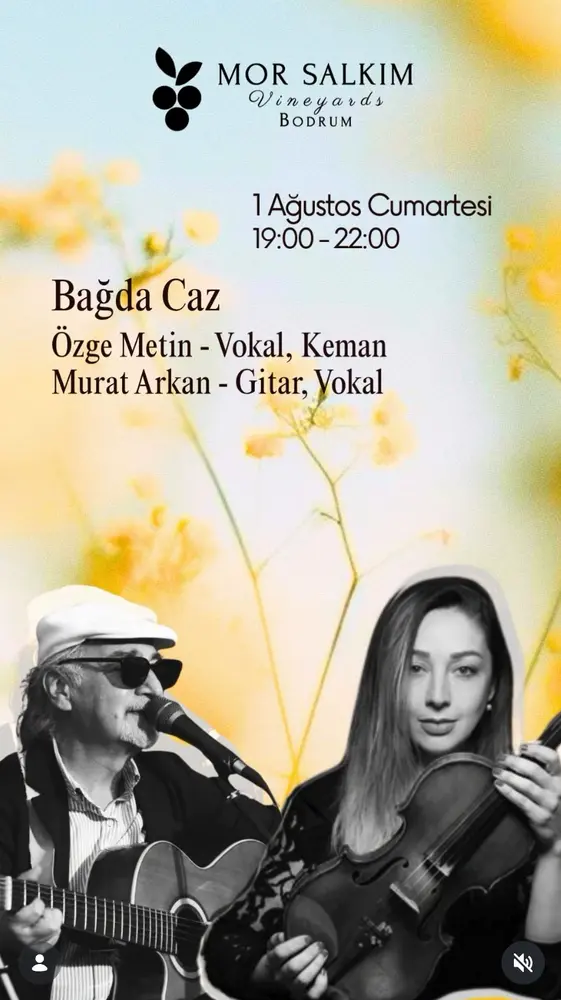 Konser posteri