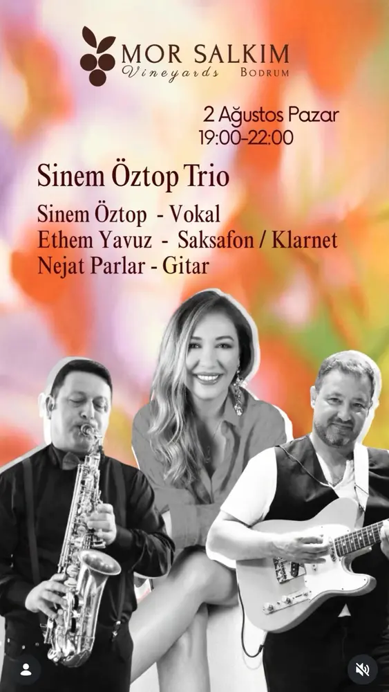 Konser posteri
