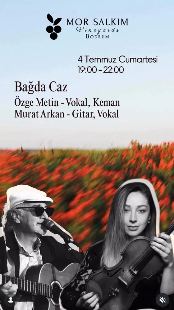 Konser posteri