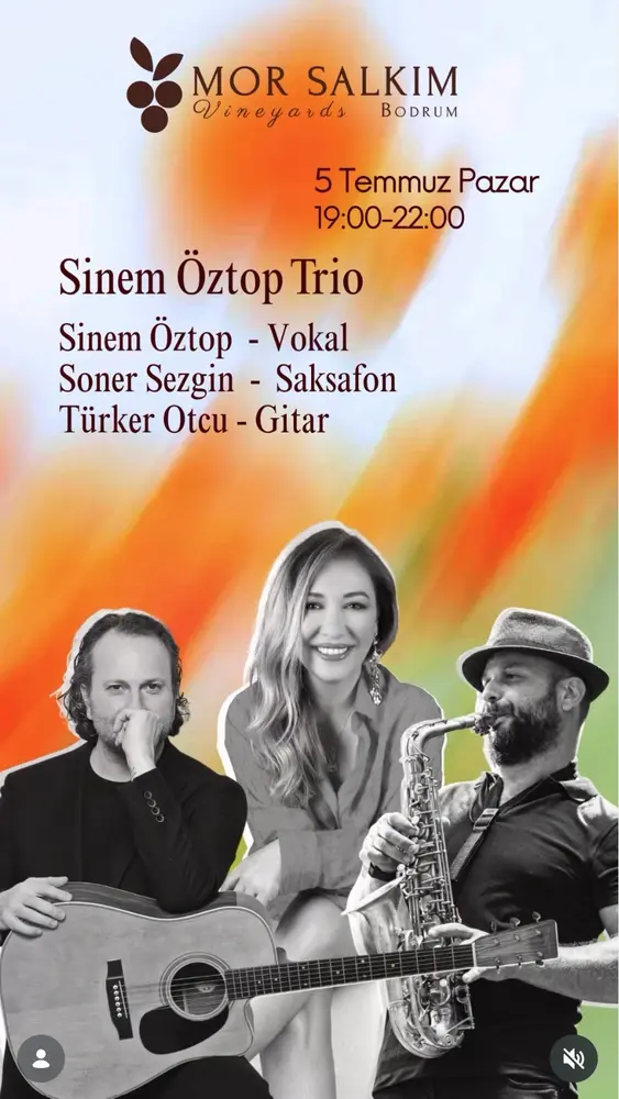 Konser posteri