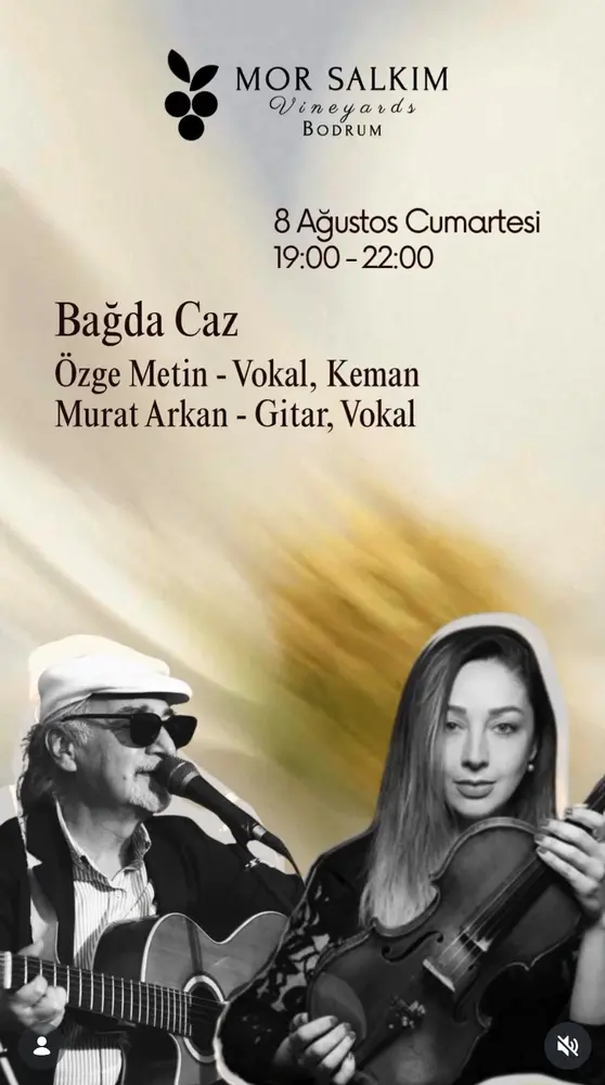 Konser posteri