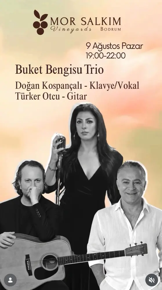 Konser posteri