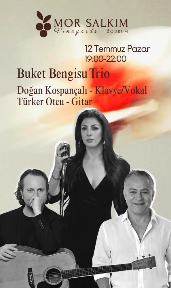 Konser posteri