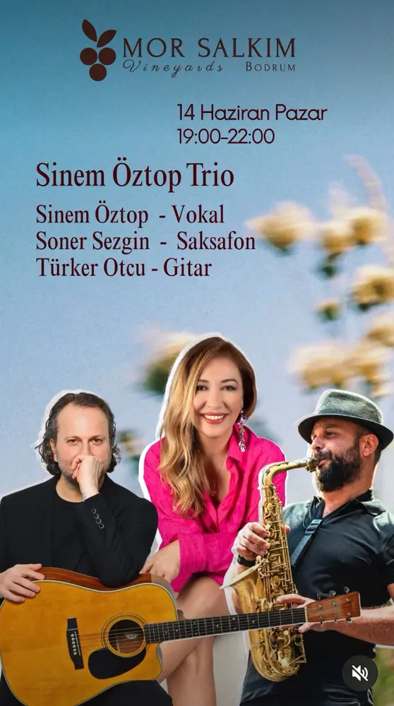 Konser posteri
