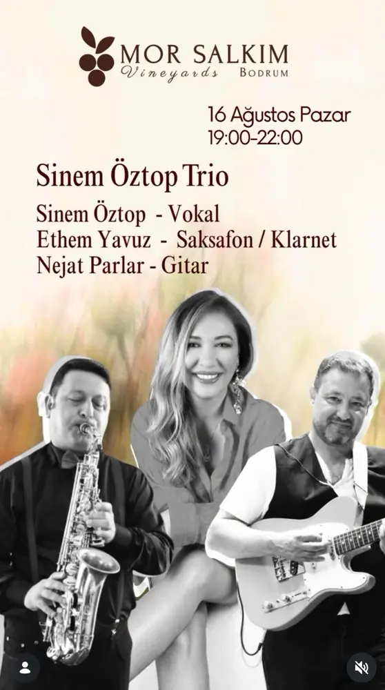 Konser posteri