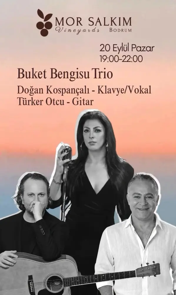 Konser posteri