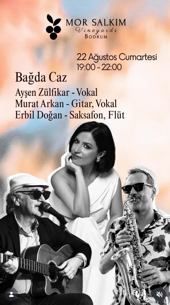 Konser posteri
