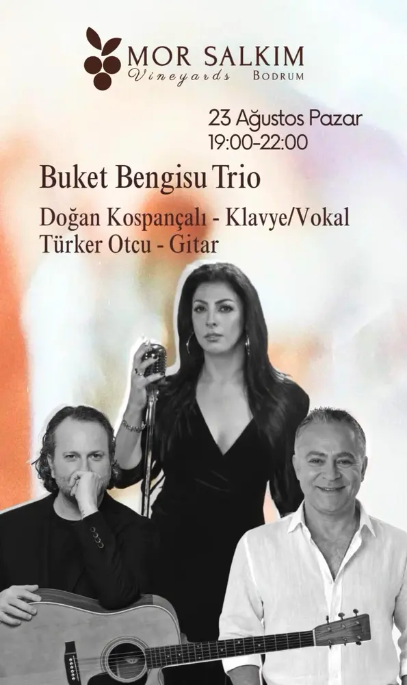 Konser posteri