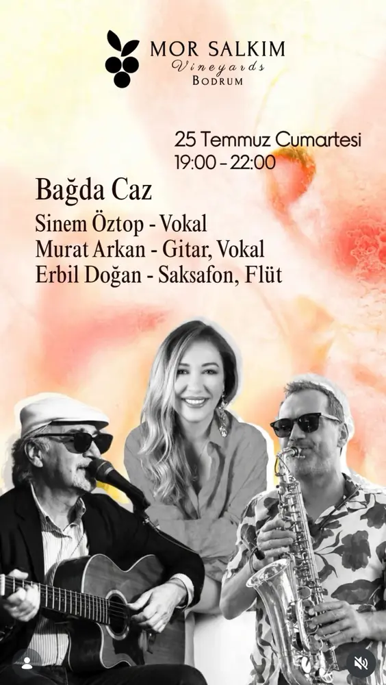 Konser posteri
