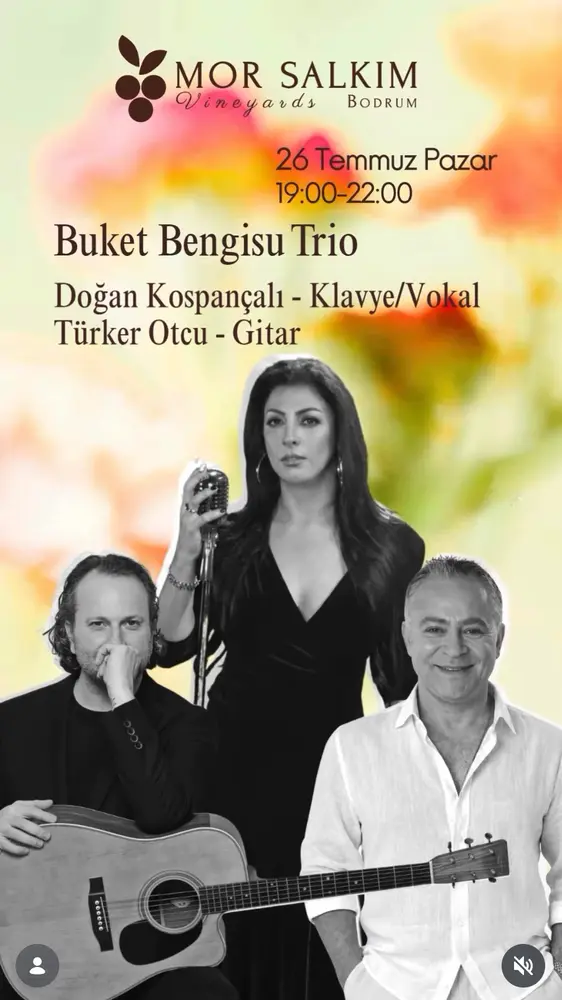Konser posteri