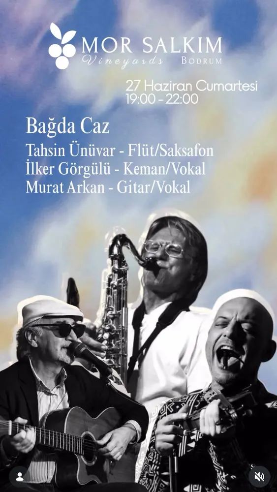Konser posteri