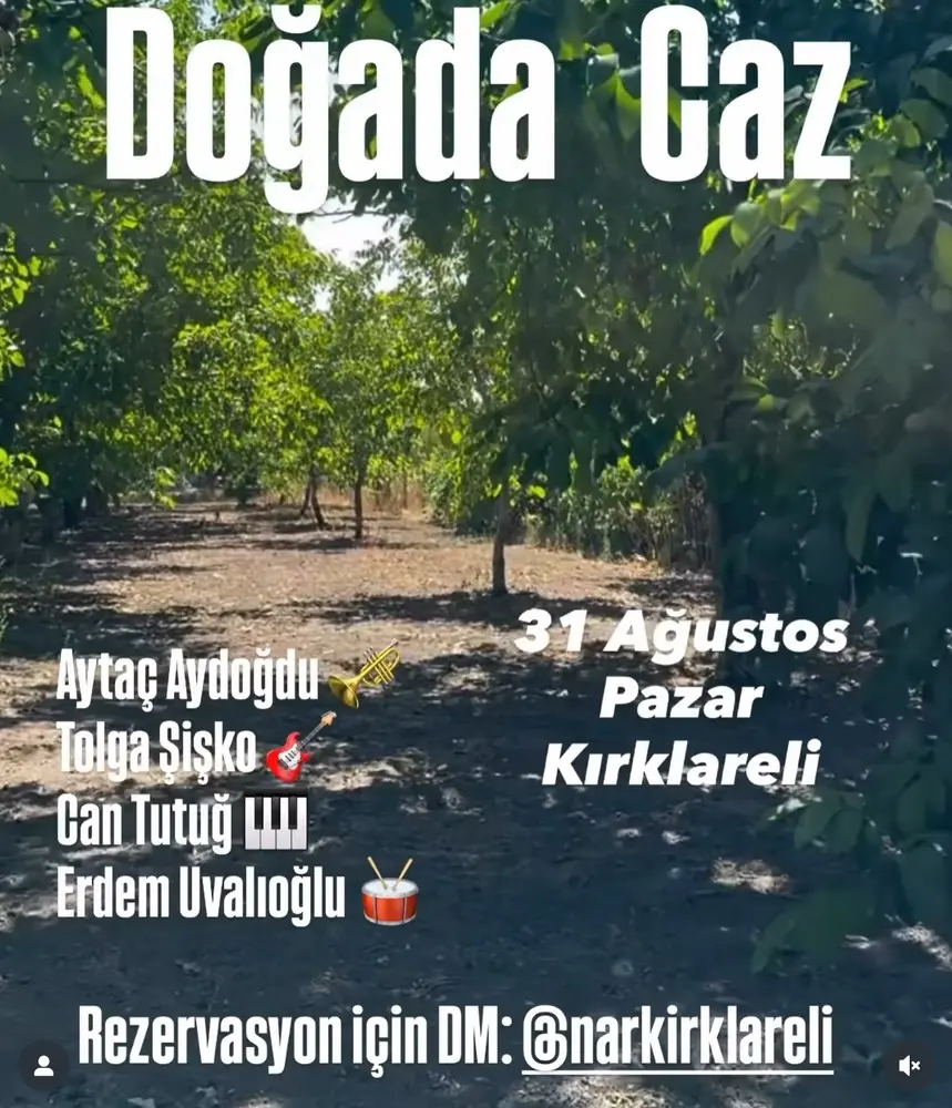 Konser posteri