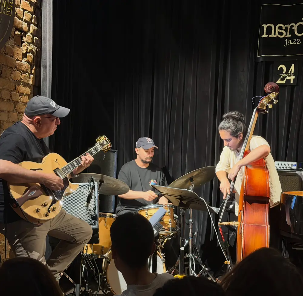 Konser posteri