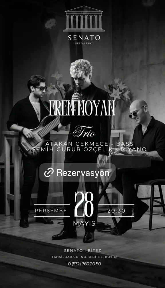 Konser posteri