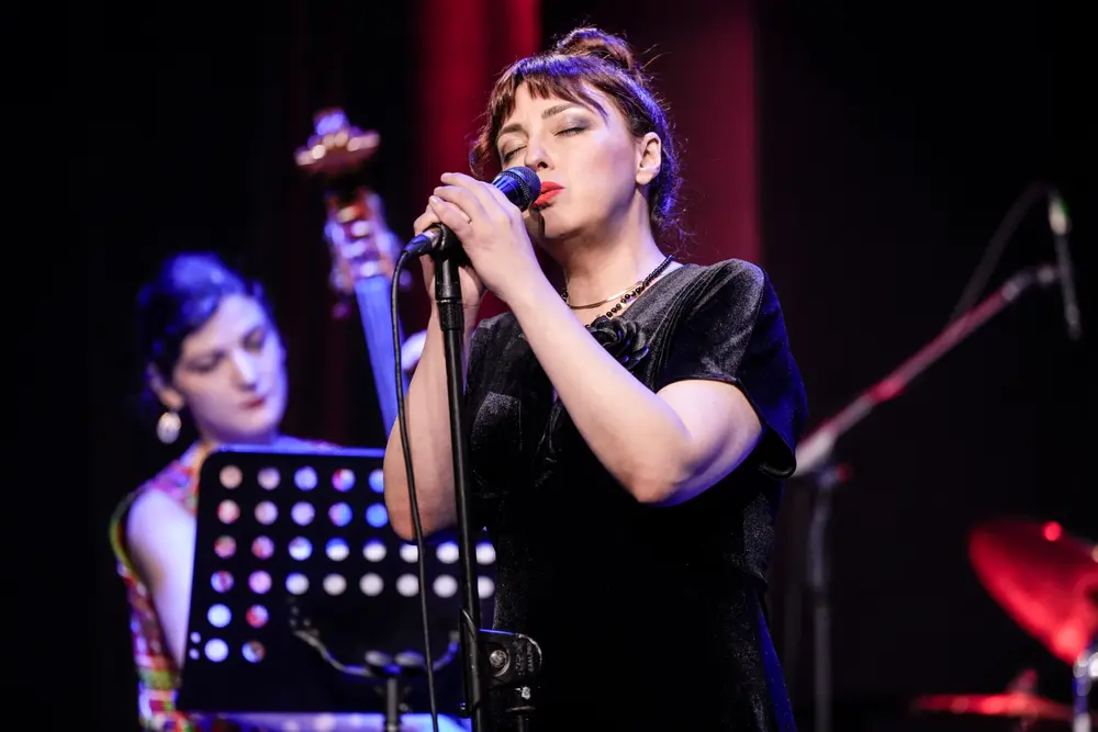Konser görseli